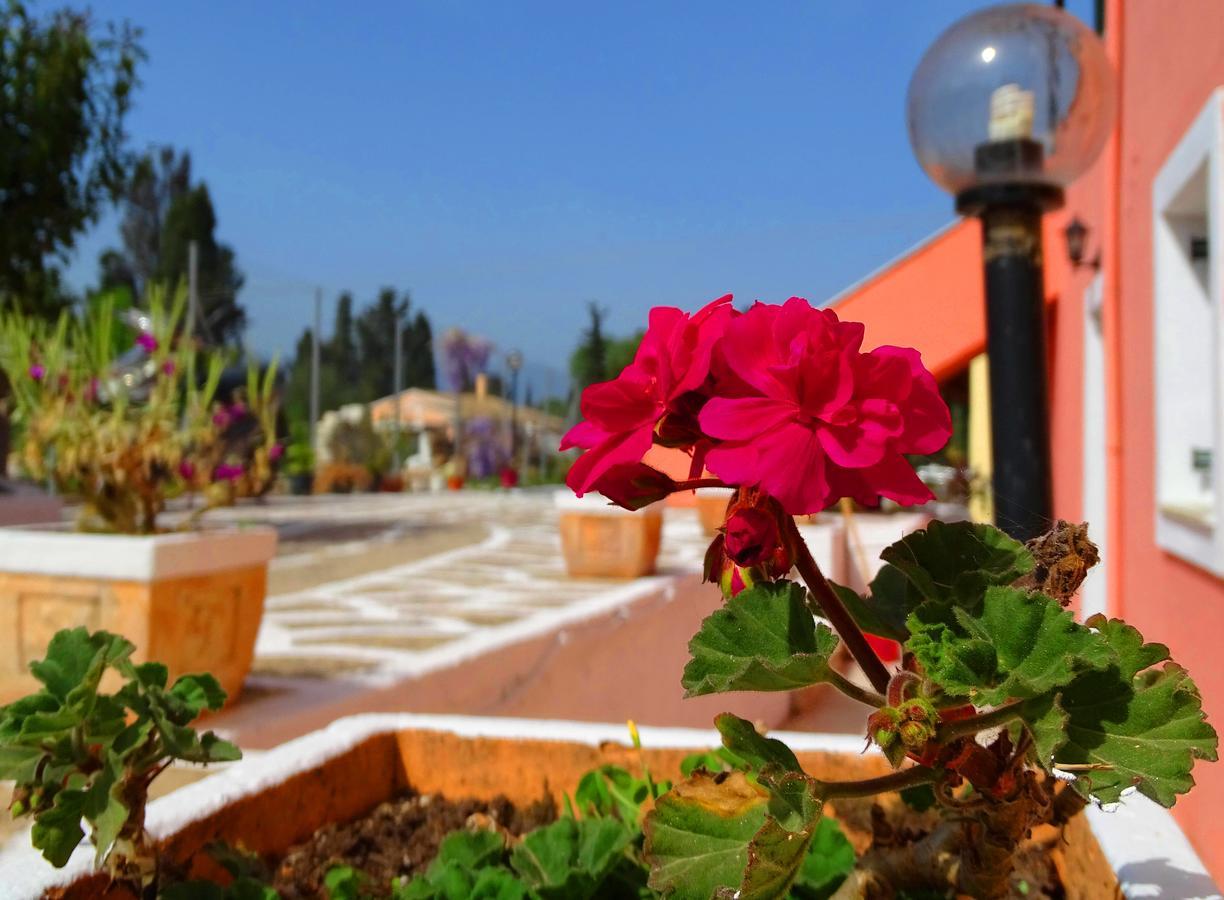 קונטואקלי Joanna Apartments מראה חיצוני תמונה